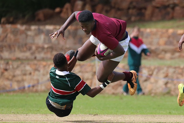 放在更广泛 放在更广泛